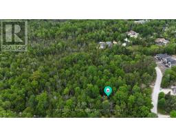 49 Leslie Street, Wasaga Beach, ON L9Z2R3 Photo 41