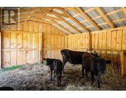 698 Line Road, Rte 317, Milltown Cross, PE C0A1R0 Photo 34
