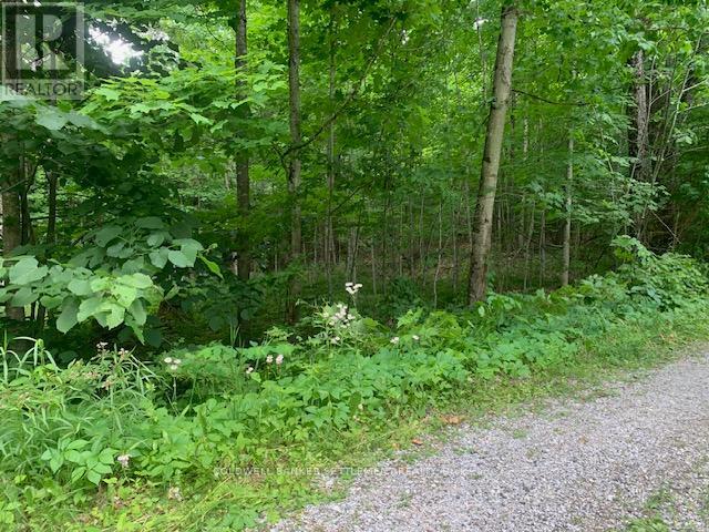306 HANNA ROAD - 11