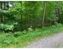 306 Hanna Road, Tay Valley, ON K0H2B0 Photo 11