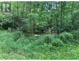 306 Hanna Road, Tay Valley, ON K0H2B0 Photo 10