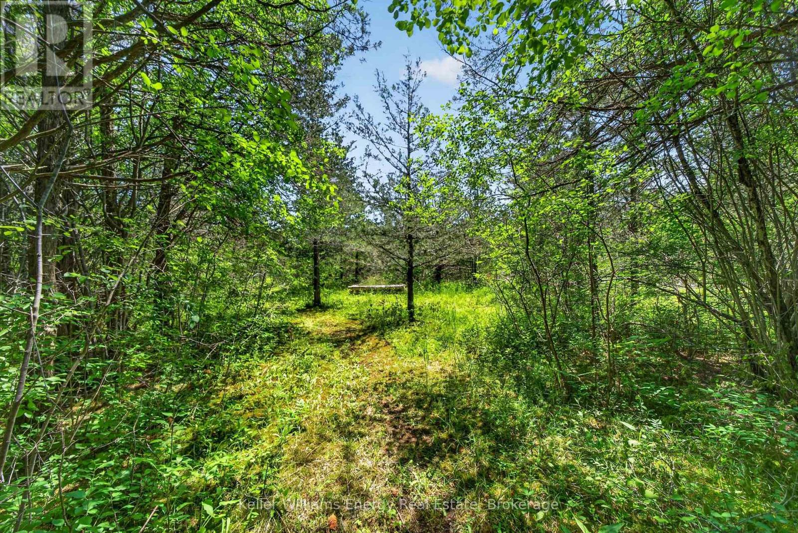 1766 NORTH BIG ISLAND ROAD - 40