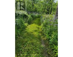 46715 Jamestown Line, Central Elgin, ON N0L2H0 Photo 38