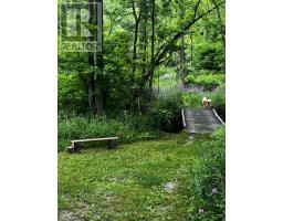 46715 Jamestown Line, Central Elgin, ON N0L2H0 Photo 39