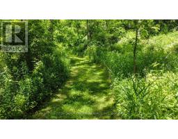 46715 Jamestown Line, Central Elgin, ON N0L2H0 Photo 43
