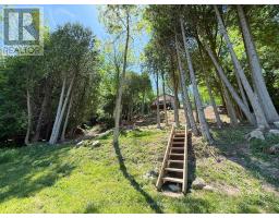 300 Canrobert Street, Arran Elderslie, ON N0G2N0 Photo 39
