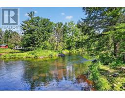 420 Edwina Drive, Trent Lakes, ON K0M1A0 Photo 33