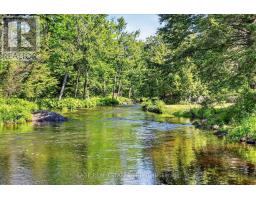 420 Edwina Drive, Trent Lakes, ON K0M1A0 Photo 35