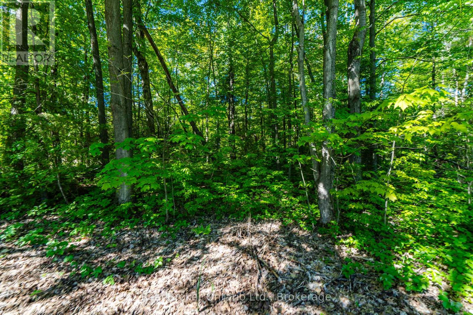 24 POPLAR DRIVE - 27