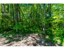 24 Poplar Drive, Tiny, ON L9M0J2 Photo 27