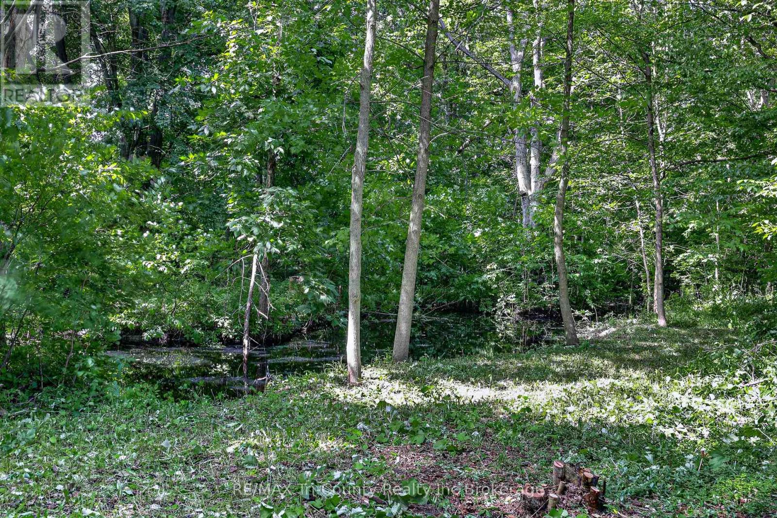 54427 TALBOT LINE - 39