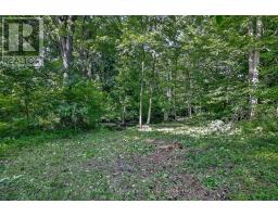 54427 Talbot Line, Bayham, ON N0J1Y0 Photo 38