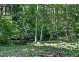 54427 Talbot Line, Bayham, ON N0J1Y0 Photo 39