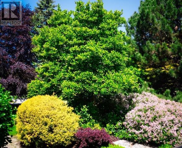 44 NORTHCREST DRIVE - 49