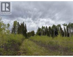 Dl 706 Walcott Road, Telkwa, BC V0J2X2 Photo 12