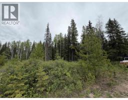 Dl 706 Walcott Road, Telkwa, BC V0J2X2 Photo 6