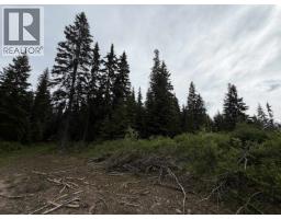 Dl 706 Walcott Road, Telkwa, BC V0J2X2 Photo 7