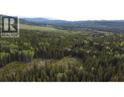Dl 706 Walcott Road, Telkwa, BC V0J2X2 Photo 20
