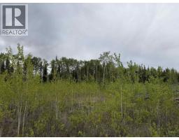 Dl 706 Walcott Road, Telkwa, BC V0J2X2 Photo 10