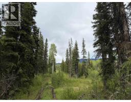 Dl 706 Walcott Road, Telkwa, BC V0J2X2 Photo 15