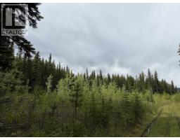 Dl 706 Walcott Road, Telkwa, BC V0J2X2 Photo 17