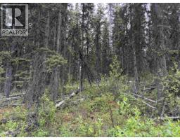 Dl 706 Walcott Road, Telkwa, BC V0J2X2 Photo 9