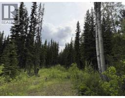 Dl 706 Walcott Road, Telkwa, BC V0J2X2 Photo 14