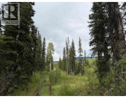 Dl 706 Walcott Road, Telkwa, BC V0J2X2 Photo 16