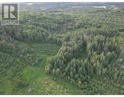 29 Highway 522, Powassan, ON P0H2L0 Photo 16
