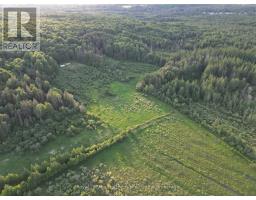 29 Highway 522, Powassan, ON P0H2L0 Photo 18