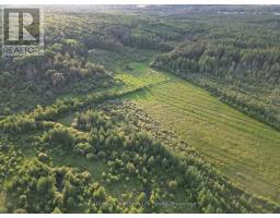 29 Highway 522, Powassan, ON P0H2L0 Photo 19