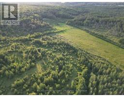 29 Highway 522, Powassan, ON P0H2L0 Photo 20