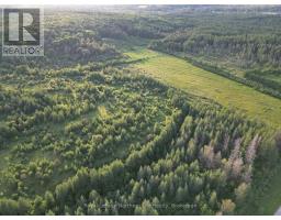 29 Highway 522, Powassan, ON P0H2L0 Photo 21