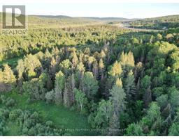 29 Highway 522, Powassan, ON P0H2L0 Photo 24