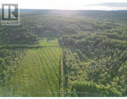 29 Highway 522, Powassan, ON P0H2L0 Photo 6