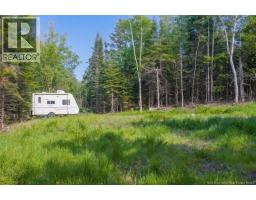 / Chamcook #3 Road, Bayside, NB E5B2X4 Photo 13