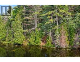 / Chamcook #3 Road, Bayside, NB E5B2X4 Photo 21