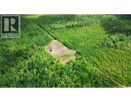 Lot/camp Sapin Court, Rogersville, NB E4Y1W5 Photo 20