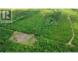 Lot/camp Sapin Court, Rogersville, NB E4Y1W5 Photo 21
