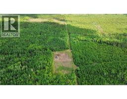 Lot/camp Sapin Court, Rogersville, NB E4Y1W5 Photo 22