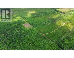 Lot/camp Sapin Court, Rogersville, NB E4Y1W5 Photo 23