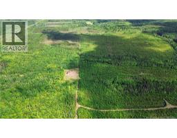 Lot/camp Sapin Court, Rogersville, NB E4Y1W5 Photo 24