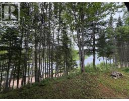 / Shinnickburn Rd W, Cains River, NB E9B2H4 Photo 20