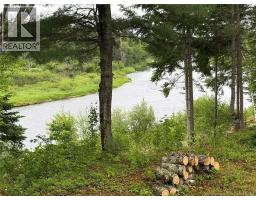 / Shinnickburn Rd W, Cains River, NB E9B2H4 Photo 24