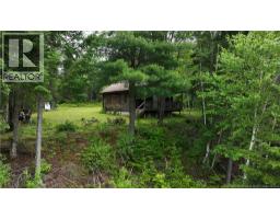 / Shinnickburn Rd W, Cains River, NB E9B2H4 Photo 33