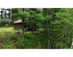 / Shinnickburn Rd W, Cains River, NB E9B2H4 Photo 35