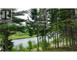 / Shinnickburn Rd W, Cains River, NB E9B2H4 Photo 36