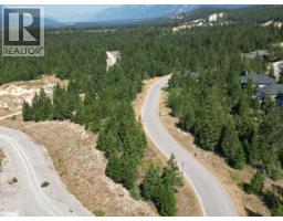 7058 White Tail Lane Lot# 19, Radium Hot Springs, BC V0A1M0 Photo 11
