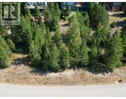 7058 White Tail Lane Lot# 19, Radium Hot Springs, BC V0A1M0 Photo 12