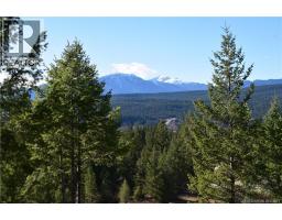7074 White Tail Lane Lot# 15, Radium Hot Springs, BC V0A1M0 Photo 12